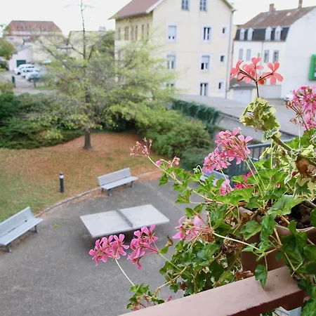 Auberge De Jeunesse Colmar